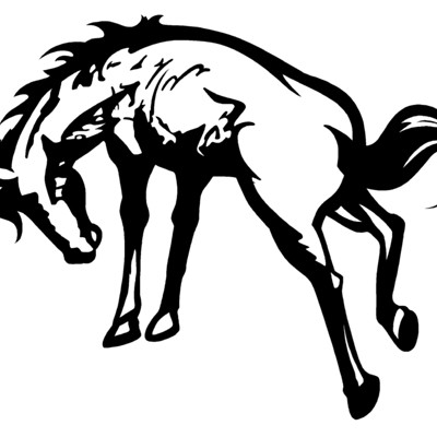 Bronco